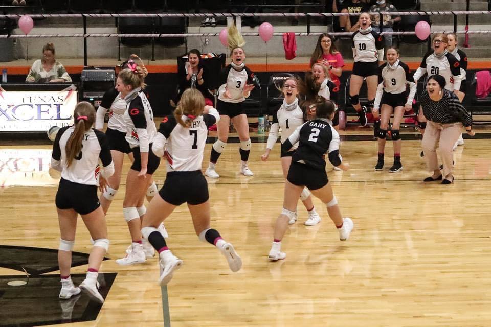 Volleyball Pic
