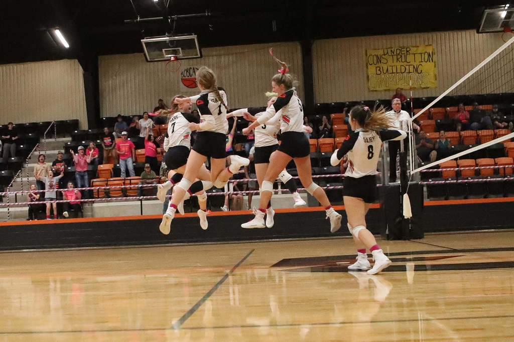 VB picture