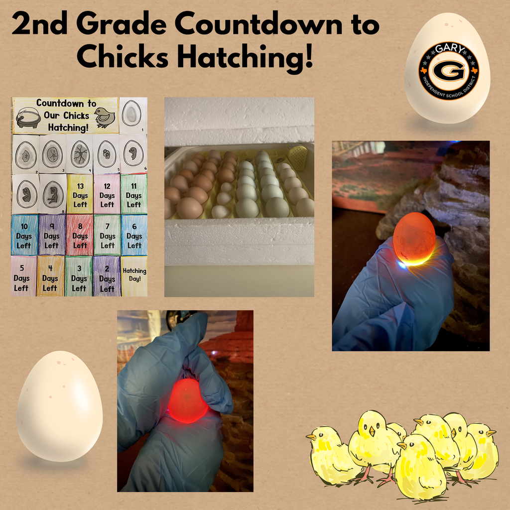 2nd Grade
