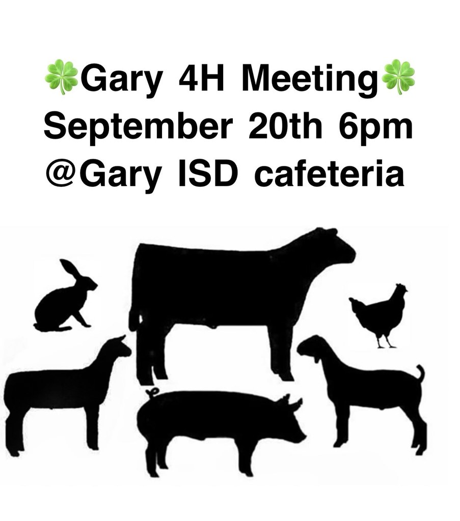 4-H Meeting