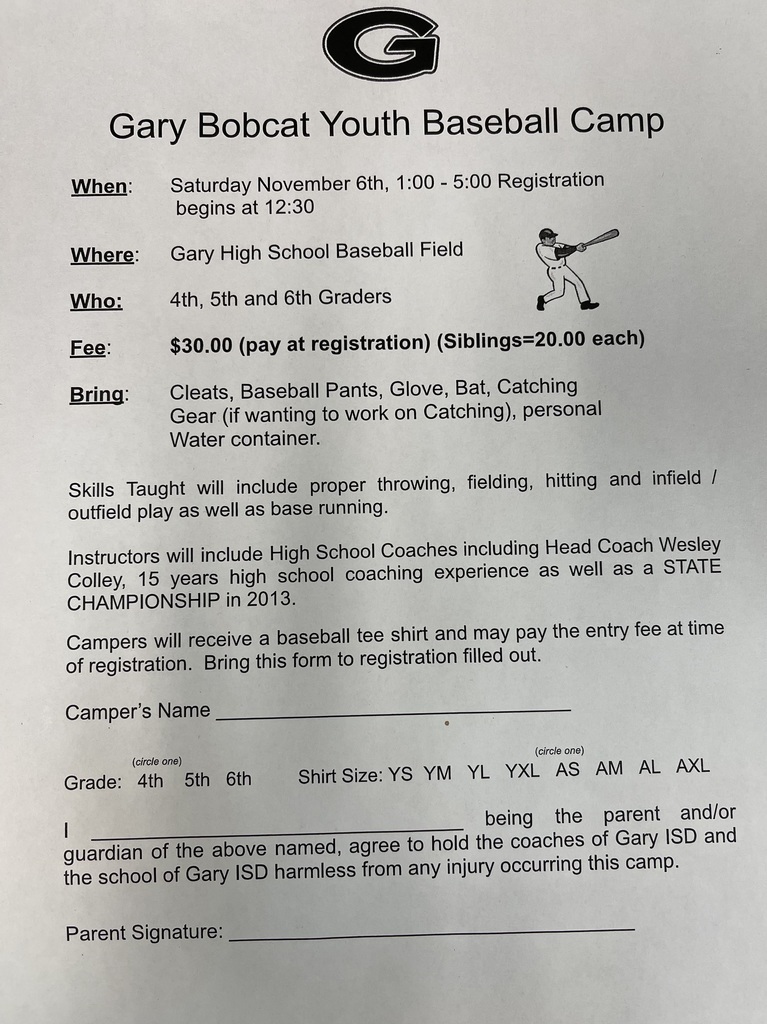 baseball camp